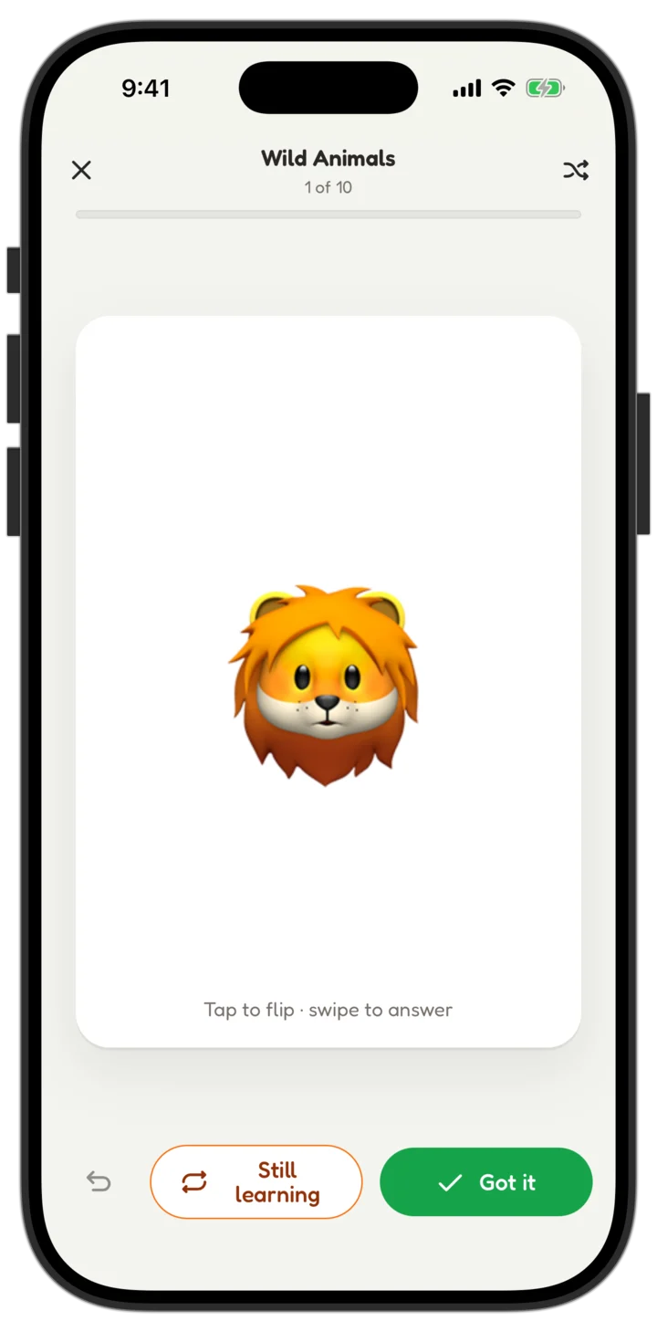 SNAC on iPhone: Flip, swipe, learn